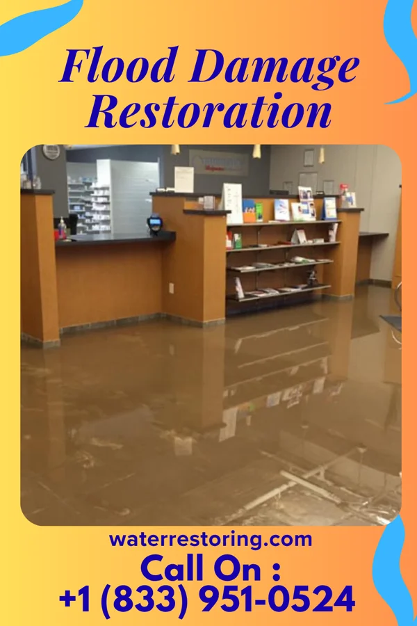 Flood Damage Restoration in Forestbrook, SC