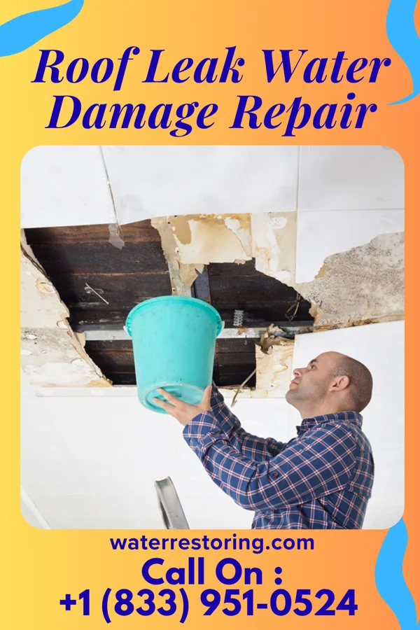 Roof Leak Water Damage Repair in Forestbrook, SC
