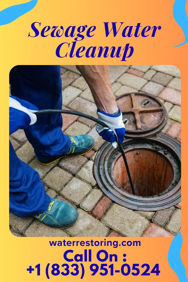 Sewage Water Cleanup in Forestbrook, SC