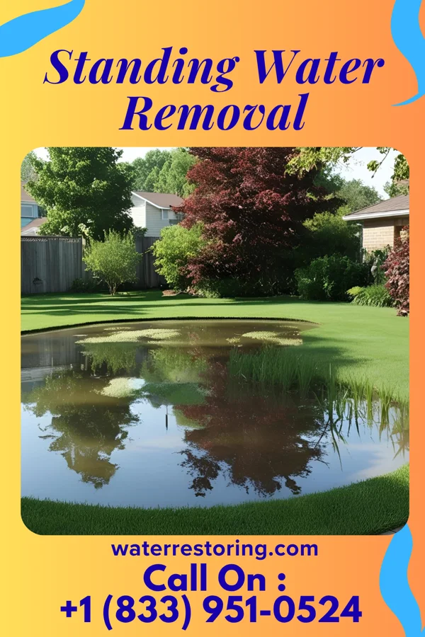 Standing Water Removal in Forestbrook, SC